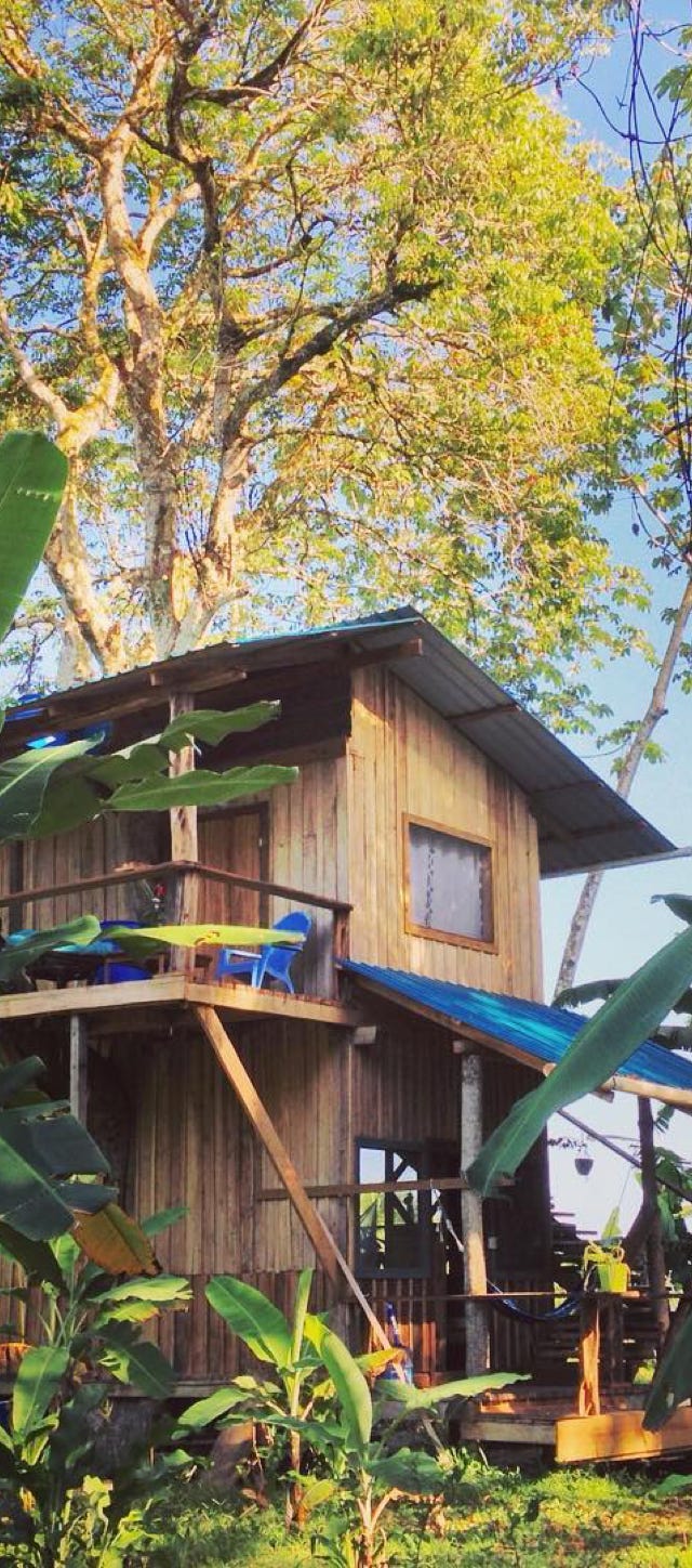 Treehouse XL