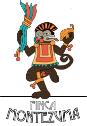 Finca Montezuma